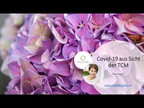 Covid-19 aus Sicht der TCM