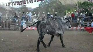 preview picture of video 'Jaripeo Santa Rosa Guachipilin.VOB'