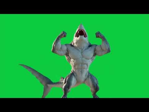 The shark is angry 4k green screen VFX