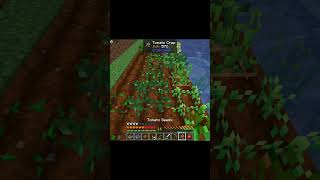 【マイクラ】色々なmodの農作物の収穫 #shorts #minecraft #マイクラ