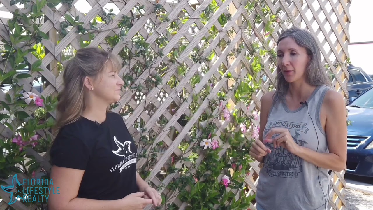 Apocalypse Coffee Roasters _ Around the Town Florida Lifestyle Realty