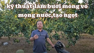 🍃 Pruning branches to create a canopy according to technical standards - the secret to making Cat...