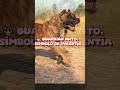 PRESA CANARIO In ACTION The Giant Of The Canary Islands That COMMANDS RESPECT