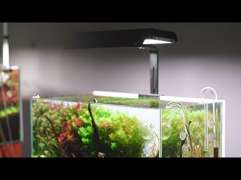 Chihiros RGB VIVID II Mini LED Light - Chihiros Aquatic Studio