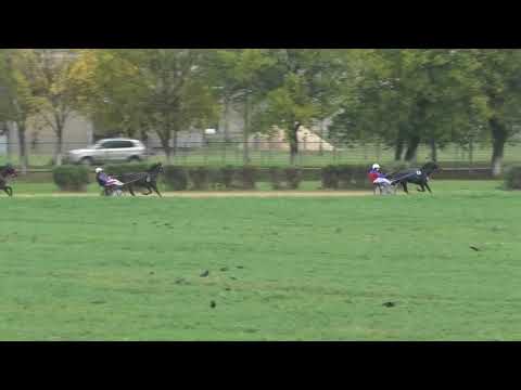 Trka "Novica Andrejić-Gudžoman" 15.10.2020 Lord Aprikot - Milan Tasić