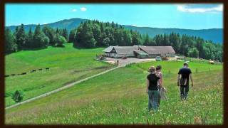preview picture of video 'eHeinz episodio 50: Parco naturale di Thal -- Gioiello nel Gi'