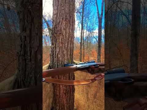 Remington 7400 Woodsmaster