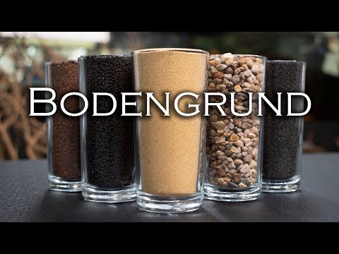 Which substrate is suitable for my aquarium? | Aquado-Zoo Dortmund