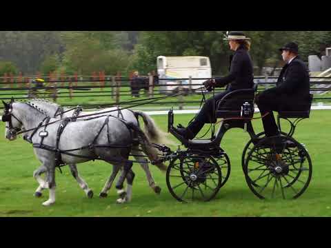 Fahrturnier Olfen 4.10.2020