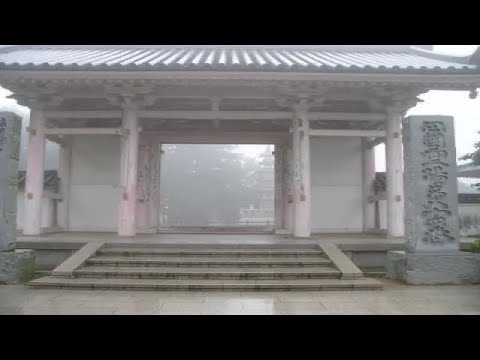 brenton ancestry/lived experience