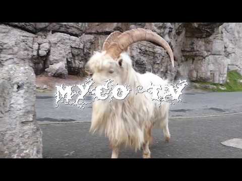 Myco TV - Blue Monday