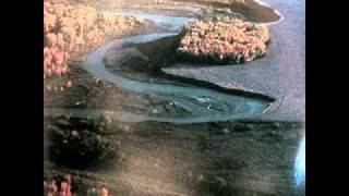 Sean McCann - Community Gargle