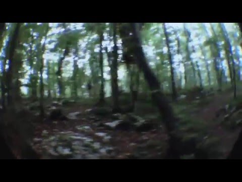 Momento Demento 2015 - INOFFICAL After Movie