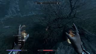 【The Elder Scrolls V:Skyrim】太刀打ち出来ないのでレベル上げ