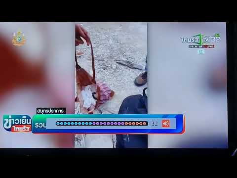 คลิกเพื่อดูคลิปวิดีโอ