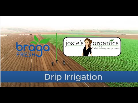 Drip Irrigation