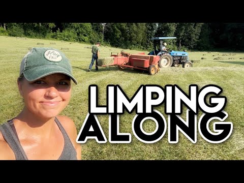 Square Baling Hay With 60 Year Old Baler : That Was Fun 🤪