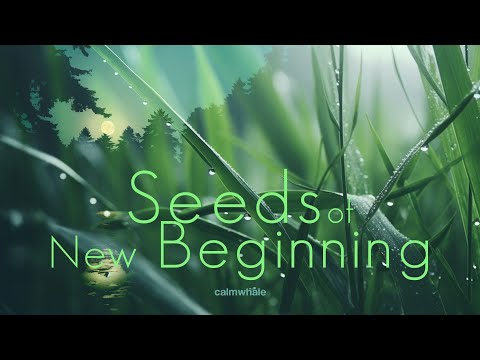 Journey to Bring Peace & Fresh Breeze ॐ  Chakapa, Udu, Rav Drum :: Seeds of New Beginning