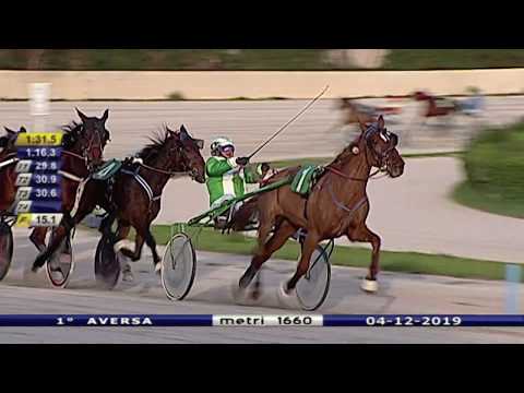 Aversa trotto 4 Dicembre 2019 - 1° Corsa Premio A. PENZIVECCHIA