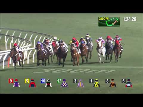 2/3/2022 (469) Happy Jai Jai - J Moreira