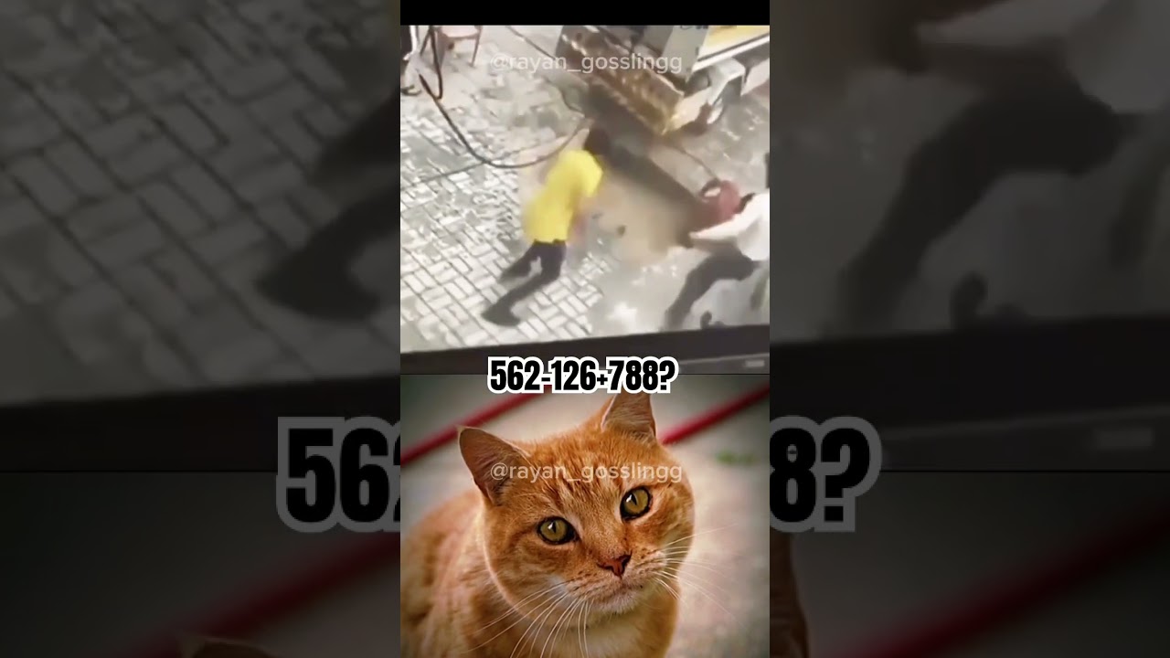 🥶Oh no, poor guy.. #coldestmoments #coldmoments #troll #memes