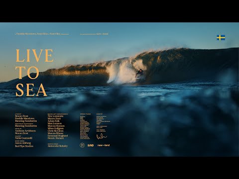 LIVE TO SEA | A Swedish Surf Saga