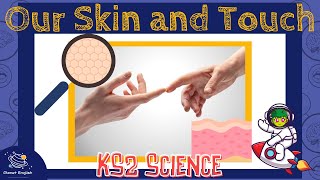 Our Skin and the Sense of Touch | KS2 Science | STEM and Beyond