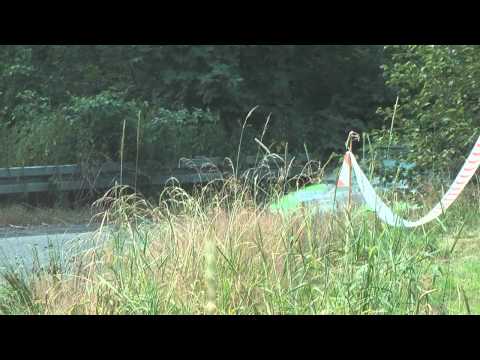 45 Rajd Krakowski Obajtel/Wróbel Honda civic vti.