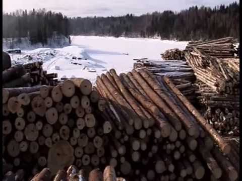 L'Odyssée Sibérienne  - le rêve utile