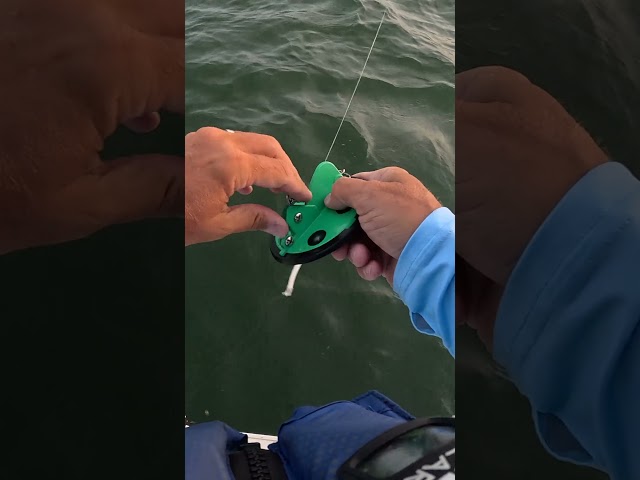 Vídeo relacionado con Haodream Dipsy Divers Dipsy Divers - Accesorio de pesca de buceo (45 mm/57 mm)