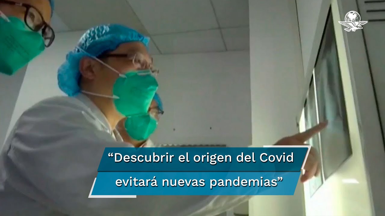 Hallar el origen del Covid es la única forma de evitar el Covid-26, o Covid-32: experto