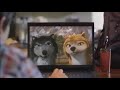 Alpha And Omega Netflix 2012 Commercial US UK Versions