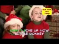 Little Donkey