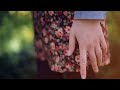 The Flashbulb - If Trees Could Speak (unofficial video)