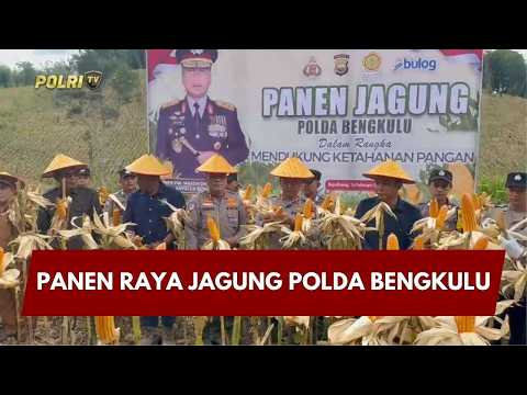 PRESISI UPDATE : PANEN RAYA JAGUNG POLDA BENGKULU 21/02/2026 (15.00)