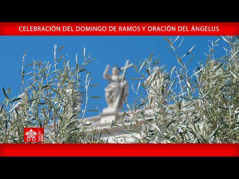 Miniatura del video