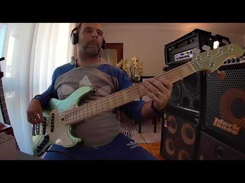 Sire Marcus Miller V7 - V5 - V10 - Bass Review ( No Talking )