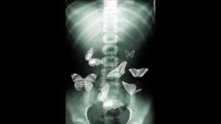 Claustrofobia - El enjambre