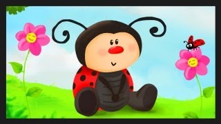 Coccinelle, demoiselle