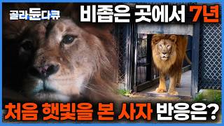 EBSDocumentary (EBS 다큐) thumbnail