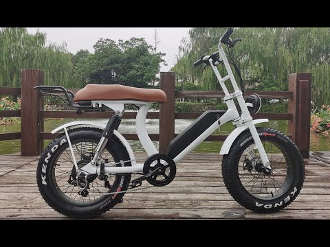 Best fat tire ebike