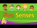 Five Senses Kids Vocabulary Learn English For Kids English Educational Video