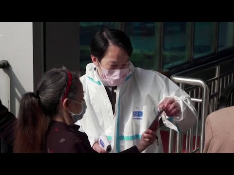 Virologist Says Premature End To Lockdown Would Bring Deadly Risks