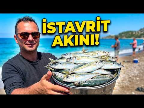 Deniz Suyu Soğuyunca İstavrit Kıyıya Yaklaştı, plaj balık tutanlarla doldu