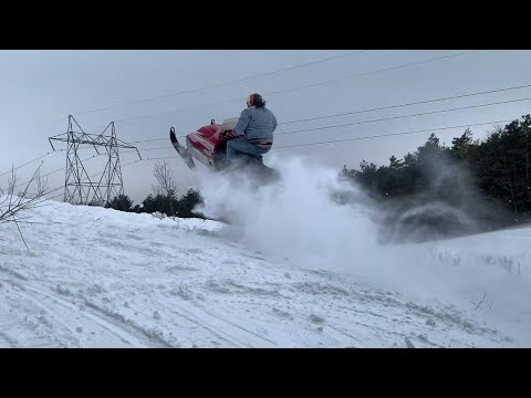 Larry Enticer Getting Silly!