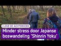 Een boswandeling op z'n Japans: 'het geeft je een bijzondere rust' - I Love De Achterhoek