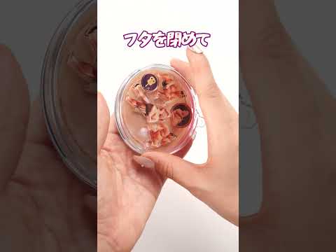 大相撲シャカシャカ 動画を見る