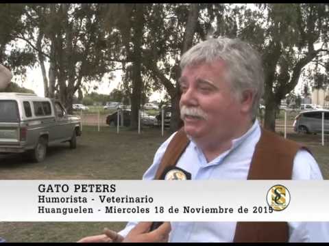 18-11-15 Nota Gato Peters - Martin y Alonso S.R.L. - Huanguelen.