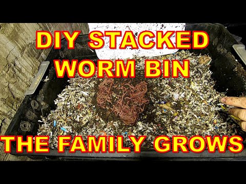 DIY WORM BIN- RELEASE THE WORMS!!