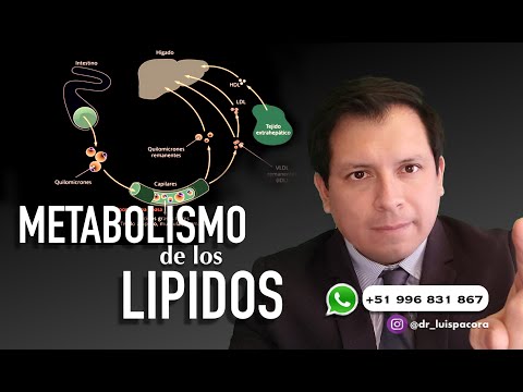 LIPID METABOLISM - FAT METABOLISM